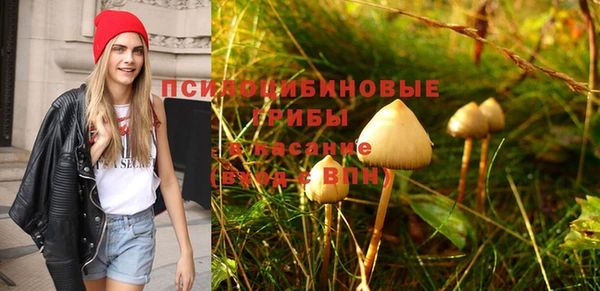 гашишное масло Дубна