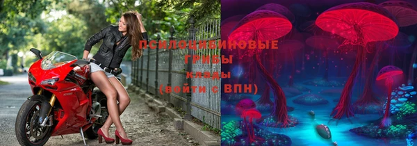 ПСИЛОЦИБИНОВЫЕ ГРИБЫ Дрезна