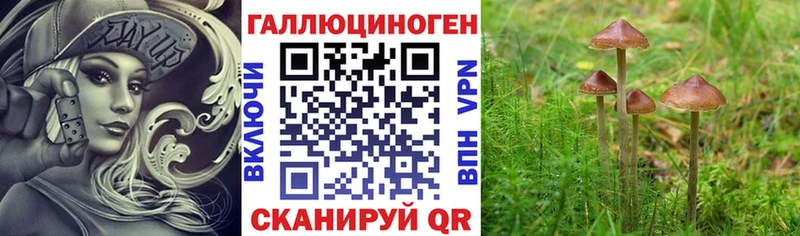 Псилоцибиновые грибы Psilocybine cubensis  где продают   Алагир 